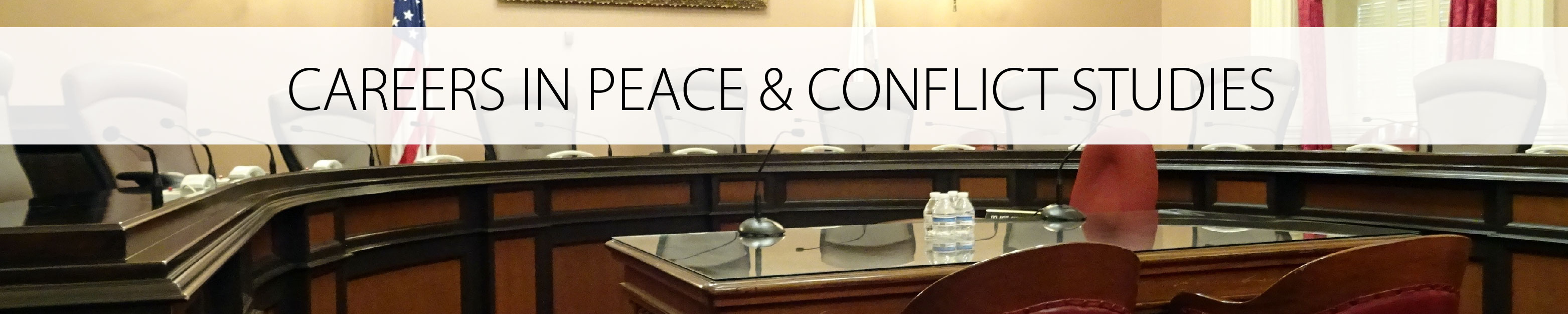 Careers in Peace and Conflict Studies